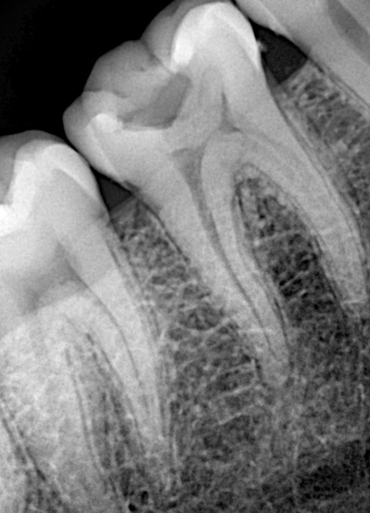 cad17e28-9f7b-478a-b725-253823d3bcf0