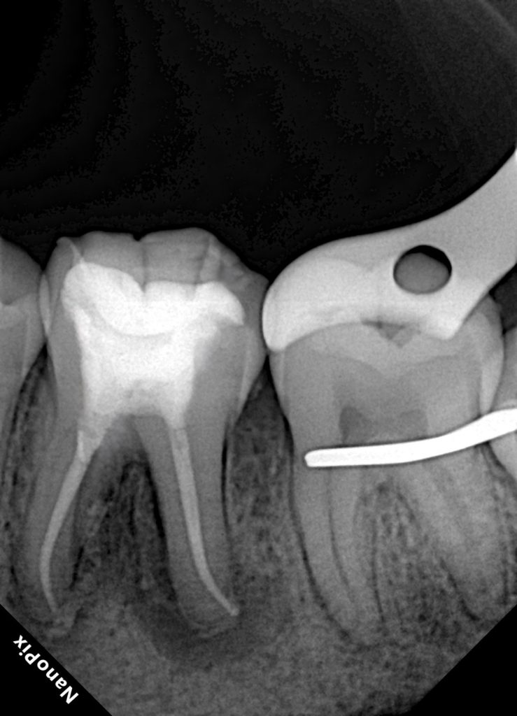 ee91290f-73c2-4f1d-9601-c532ef73af62