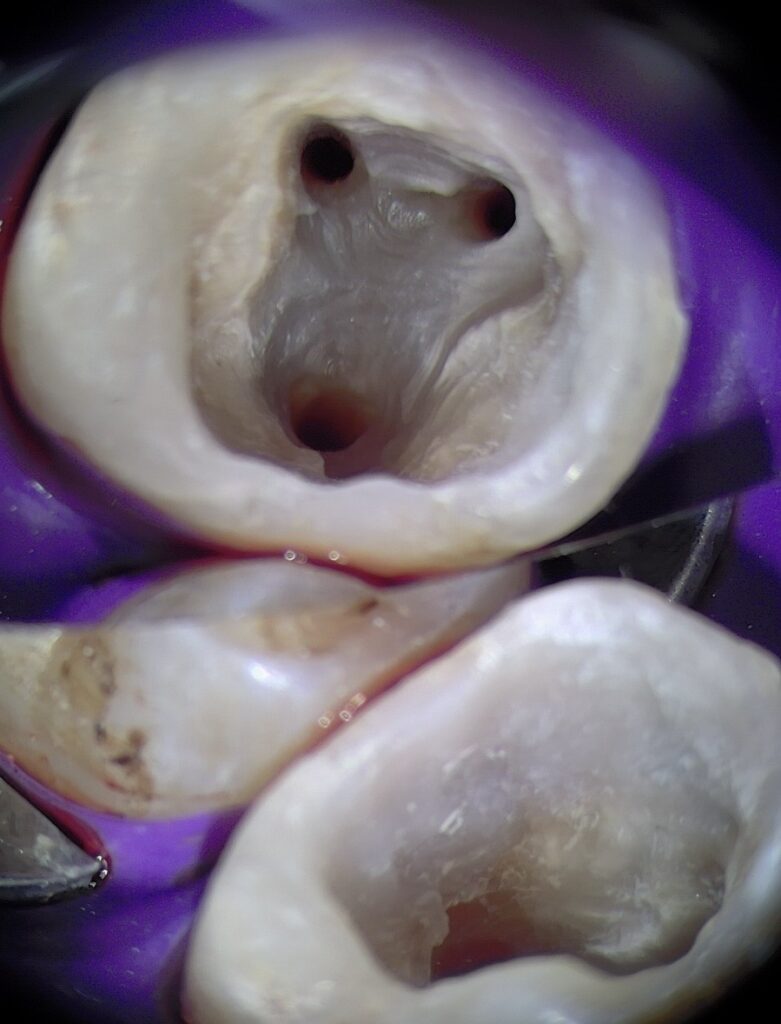 5e4a0031-f07f-4d7d-8bdc-a8452cd73a53