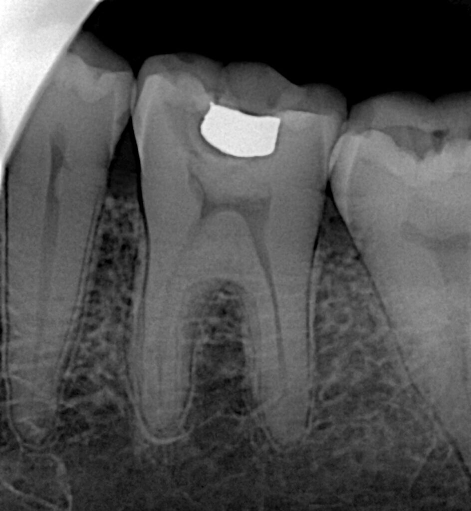 b0ba0c10-e548-4695-b21f-8011354189a2