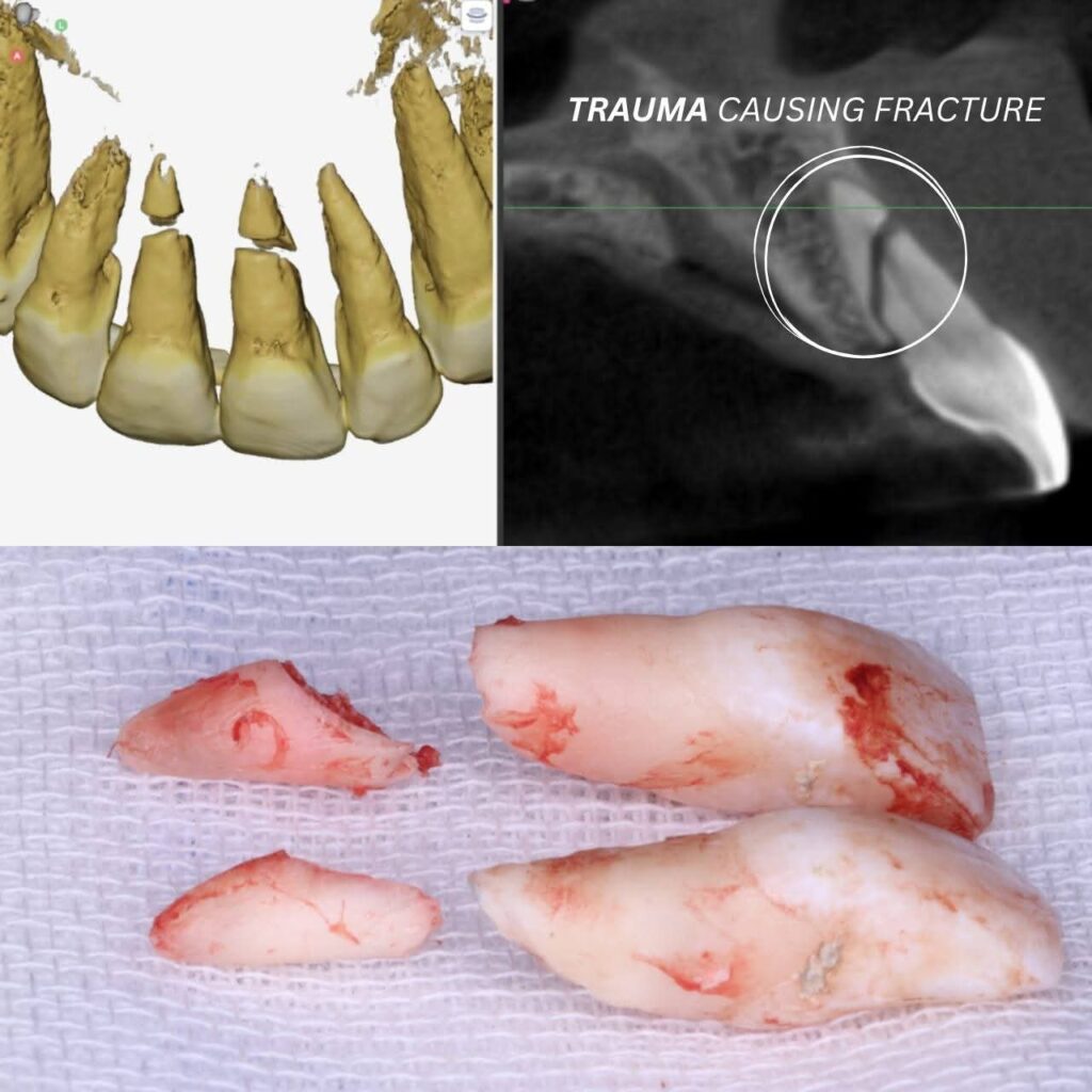 FB_IMG_1773264522272