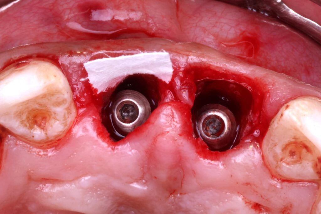 FB_IMG_1773264541873