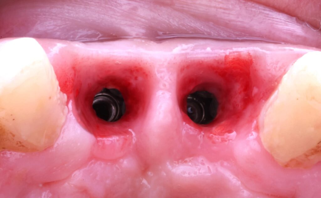 FB_IMG_1773264574514