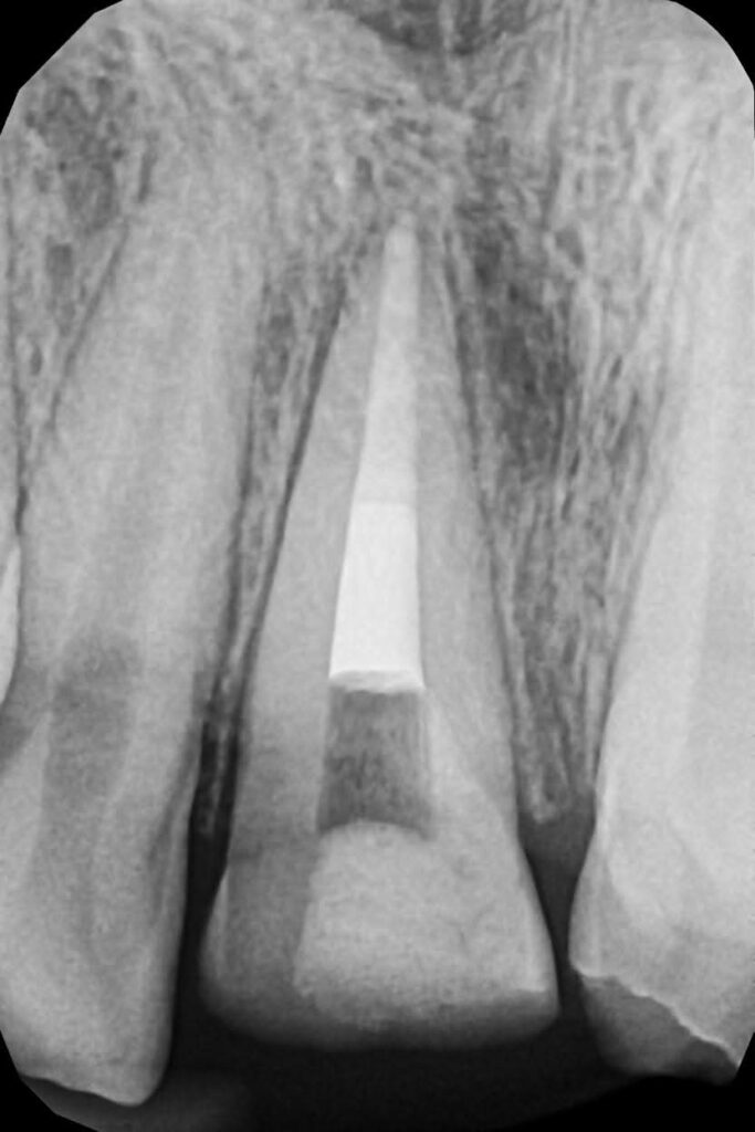 FB_IMG_1774950835238