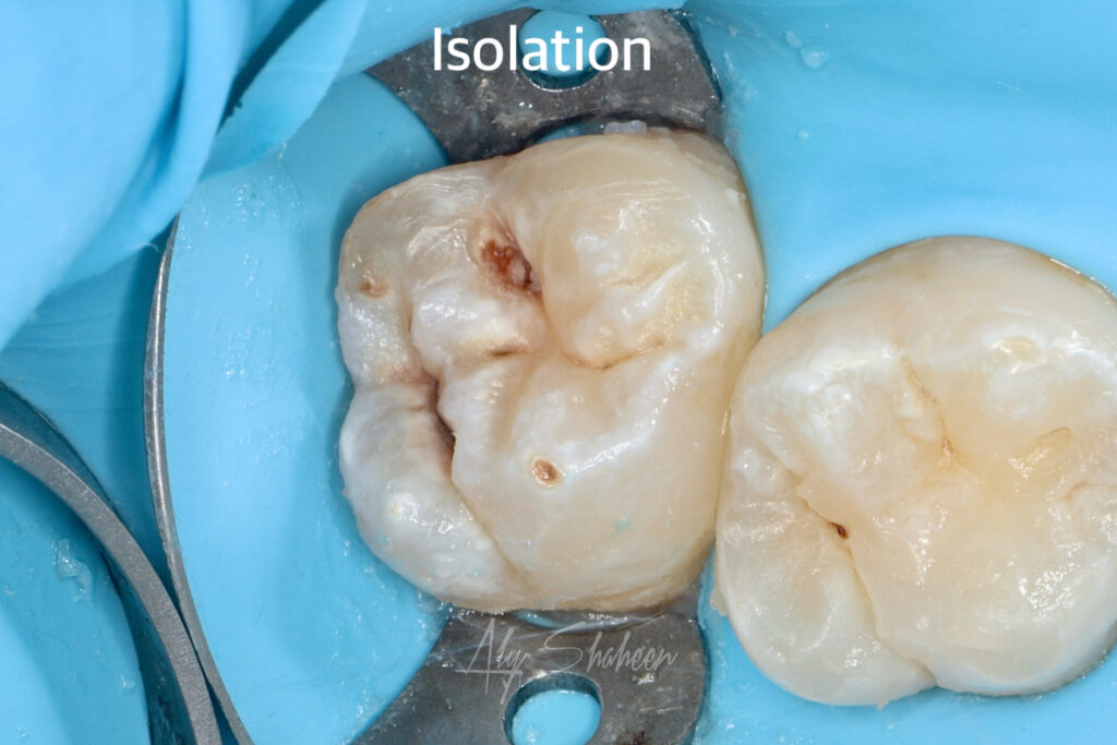 created by photogrid