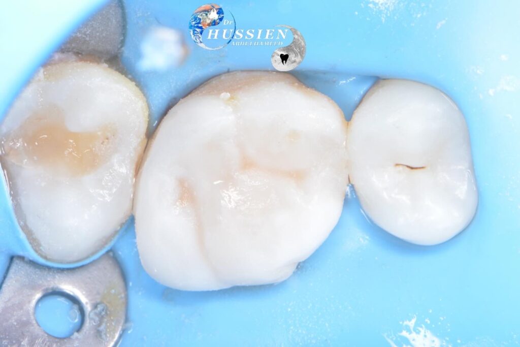 0F702684-1F56-4473-BDE5-5744B7675164