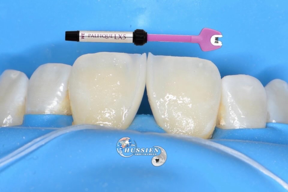 185A5CB2-2A59-4079-8968-4526AD227514