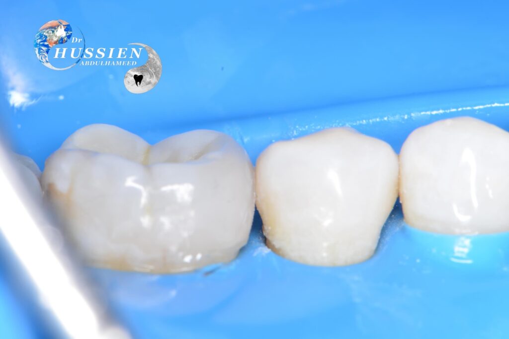 1C1E4605-30C4-4721-92FF-499C49044348