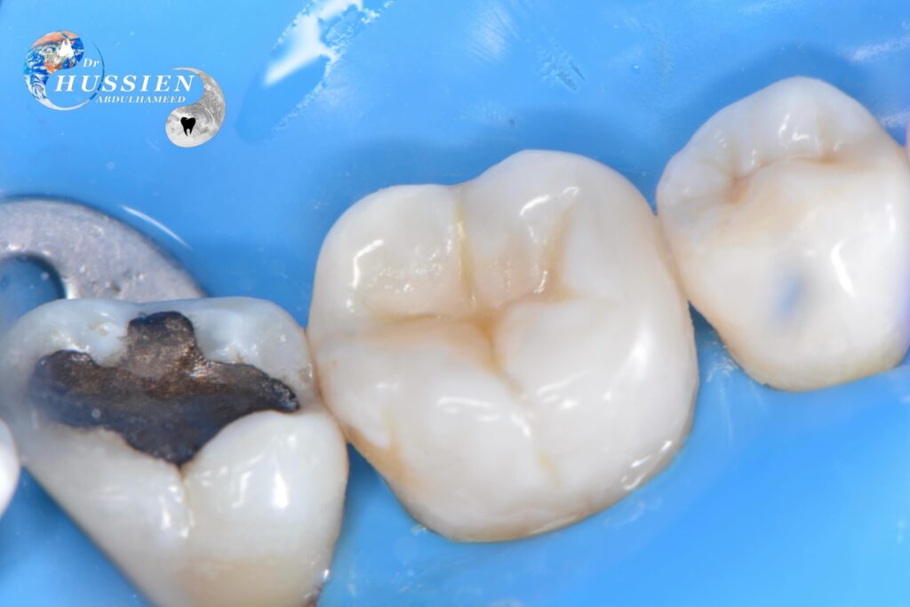 21E8E626-CA01-4D1F-B67B-F14C6A757D44