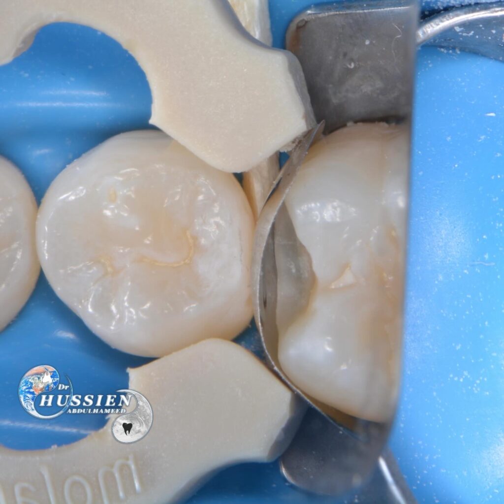 24D40C2C-3D18-49ED-B6B8-D52653644509