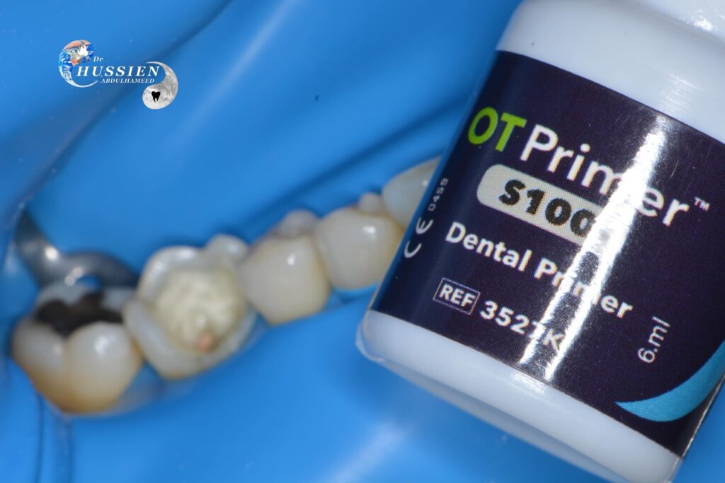 3AC15DF0-54DF-401B-98BC-44D234FCD239