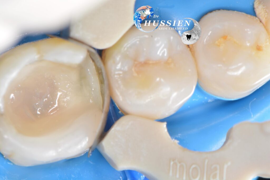 519D2C0B-6183-4037-9944-ACBCC0B0AA6F