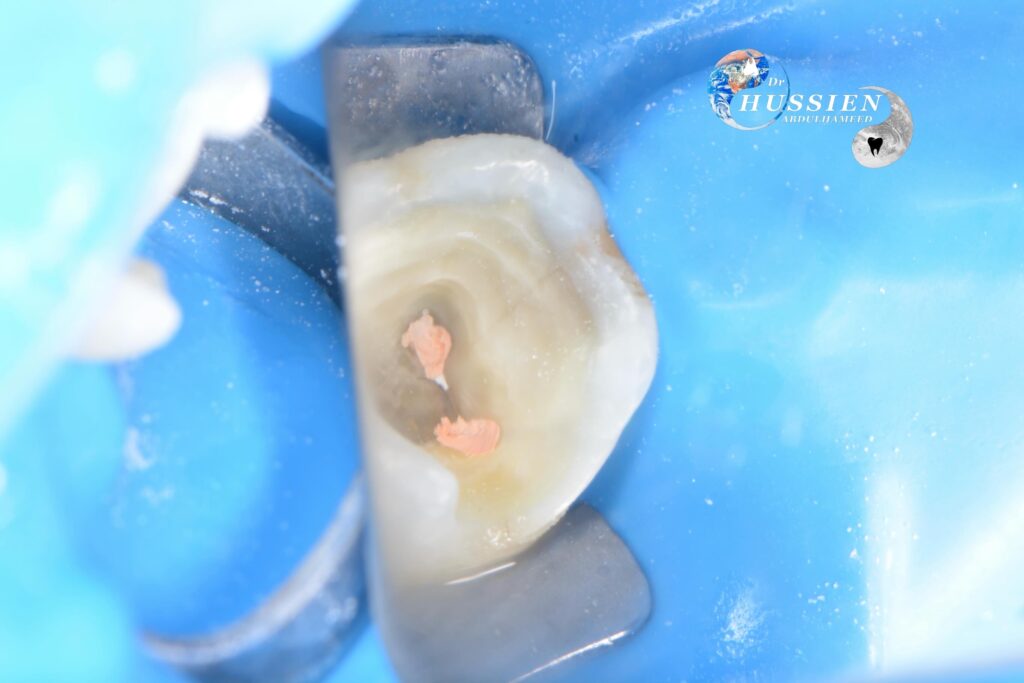 77019C9F-AF1A-4FD3-BF18-9C5E63A4C641