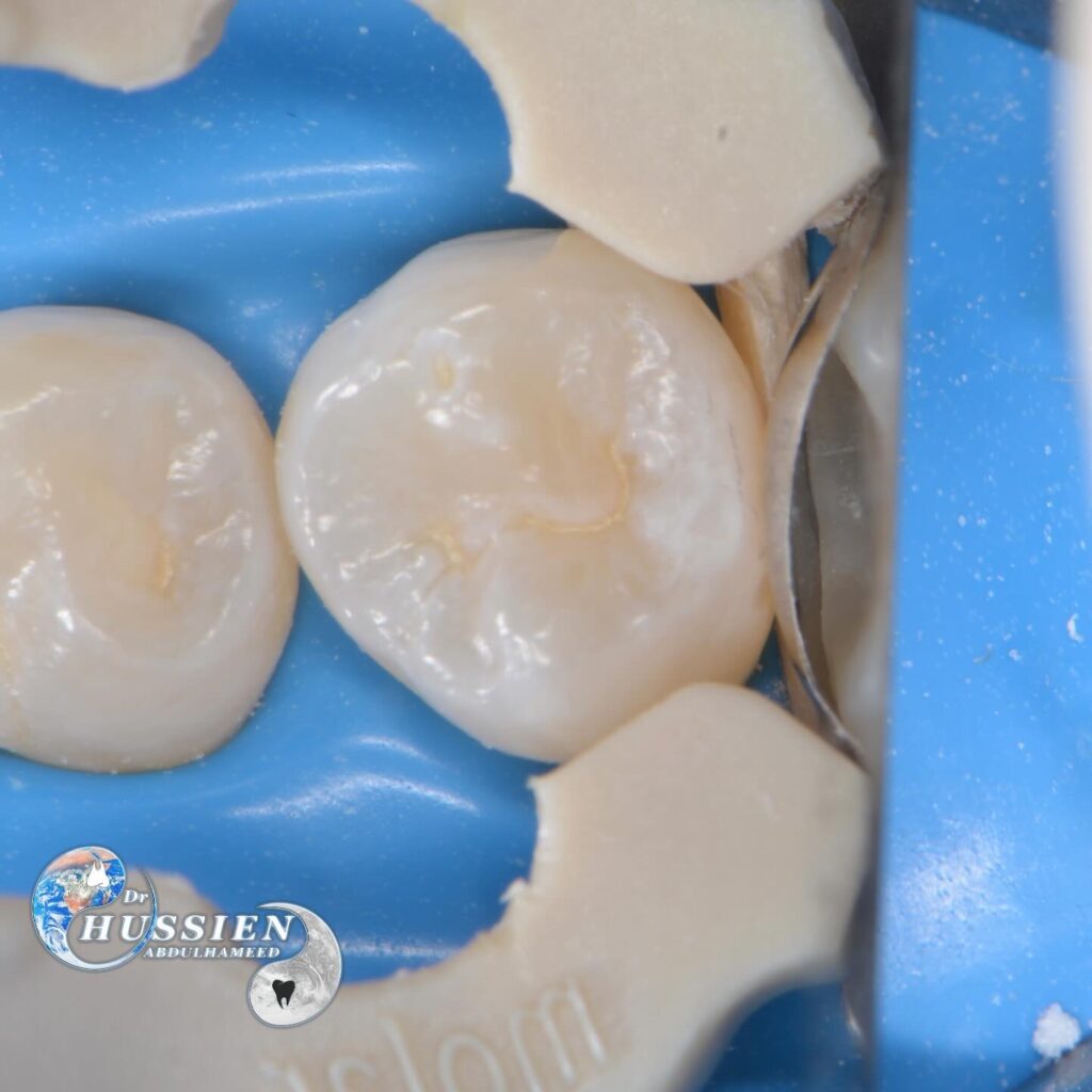 9109CC6C-D9D6-41C8-BC78-3F143D8F341D