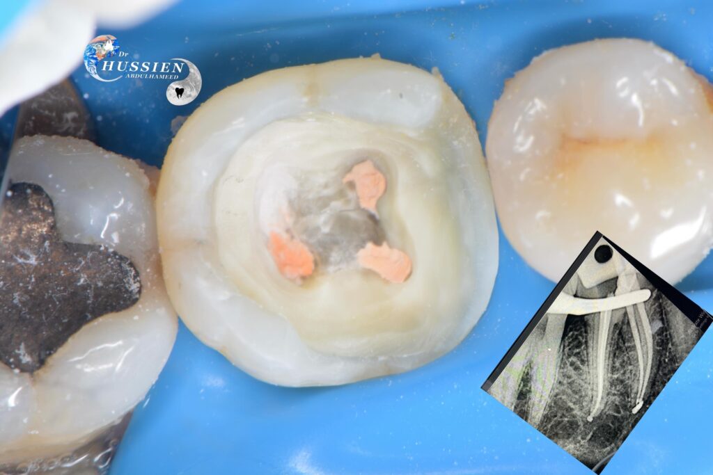 9DA72636-AEFA-4917-B746-38F6D6E416C6