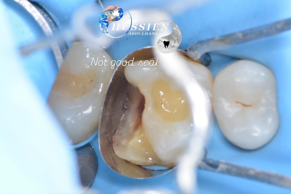 B59D8845-805A-43A8-B0FF-9B0B1C3F389D