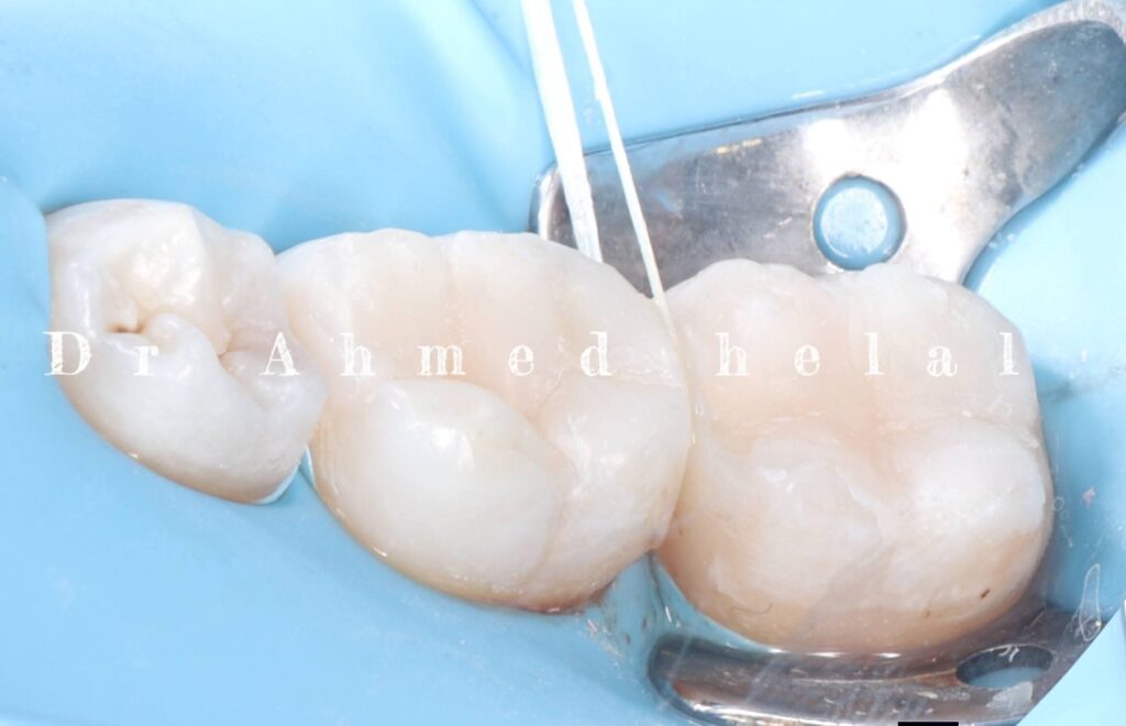 inbound1816565991866090368