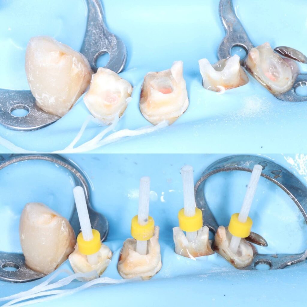 inbound6019578801686955417