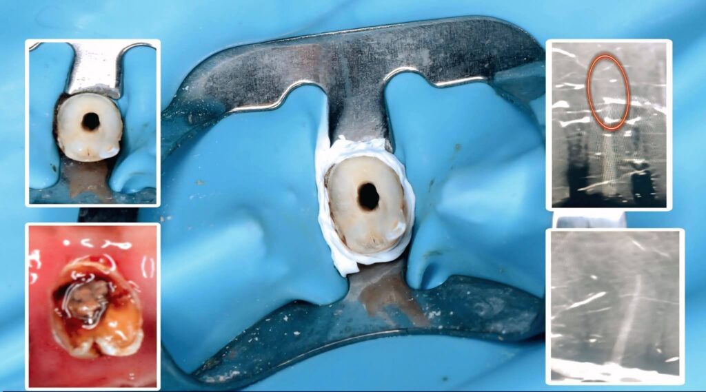 inbound667118244477523583