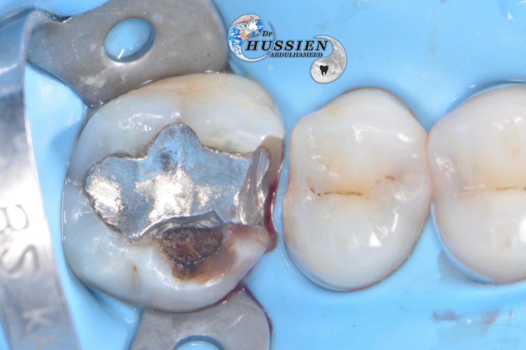 B1BADBA2-EBE9-421B-94DB-51EFC66BF6F6